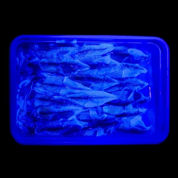 【店頭販売限定品】ケイムラ生ホタルイカ(冷凍)